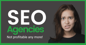 Read more about the article 6 Reasons Clients are Moving Away from SEO Agencies and Hiring Freelancers Instead