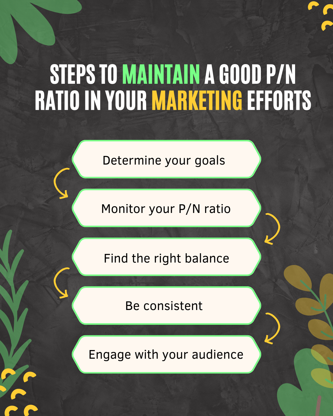 Steps to maintain a good P/N ratio in your marketing efforts